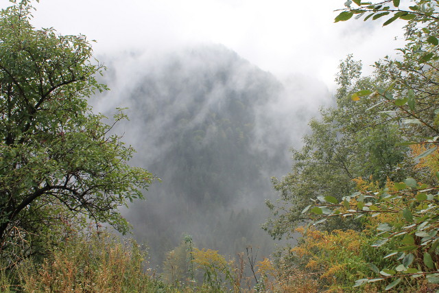 Base of the Alps