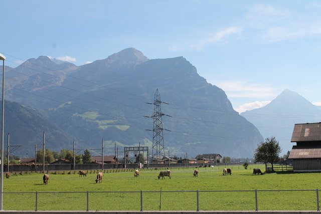 The Swiss alps