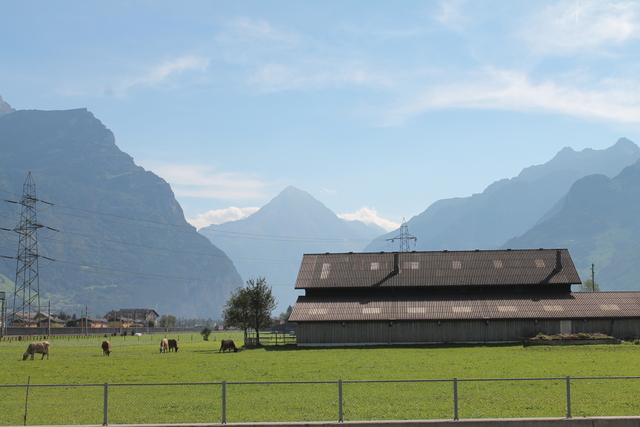 The Swiss alps