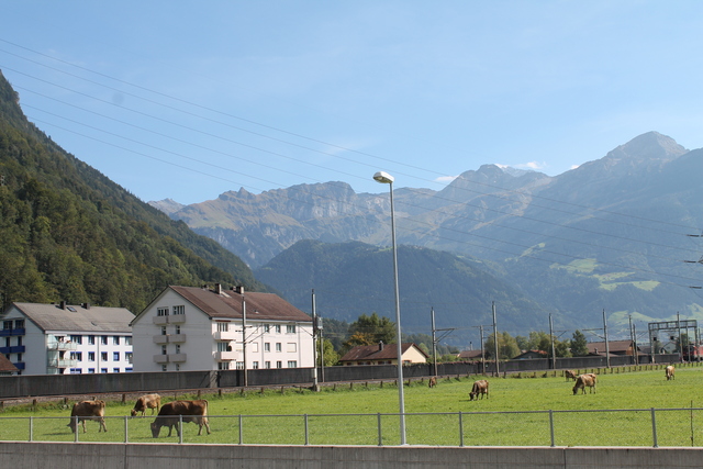 The Swiss alps
