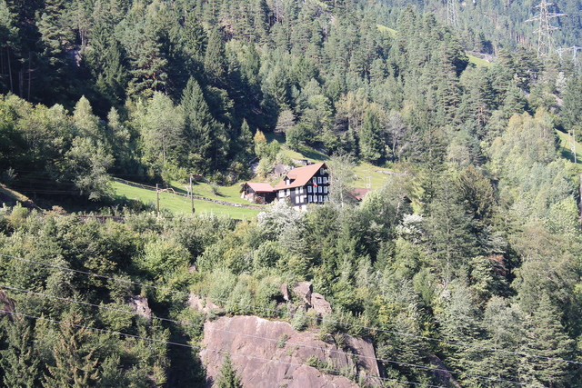 Nice Swiss house on the mountain side